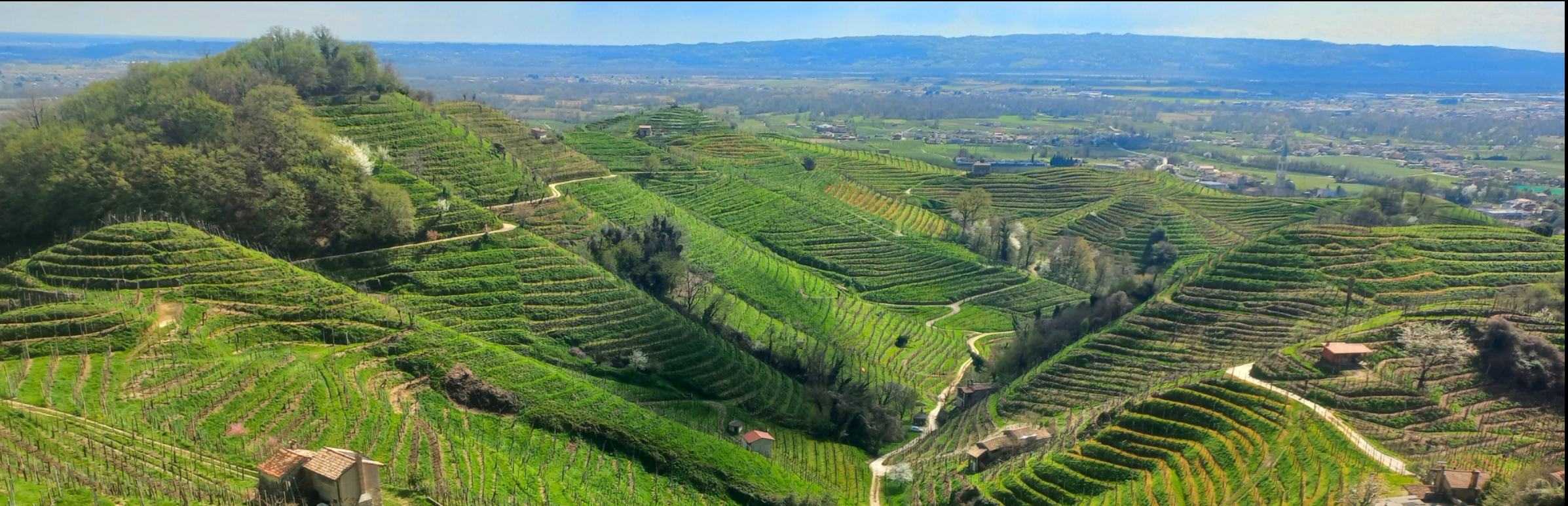 Unser neuer Prosecco DOC Brut – meine Reise zu Le Contesse in Venetien